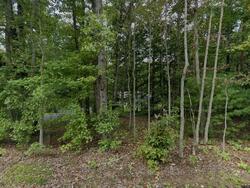 Pre-foreclosure in  Oliver Creek Rd Troy, VA 22974