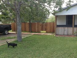 Pre-foreclosure Listing in Starcke St SANDIA, TX 78383