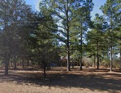 Pre-foreclosure in  Charlie Rast Rd Swansea, SC 29160