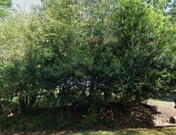 Pre-foreclosure in  Doe St Charleston, SC 29406