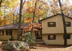 Pre-foreclosure Listing in Black Oak Dr TANNERSVILLE, PA 18372