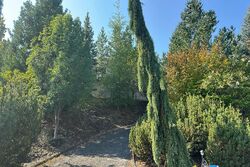 Pre-foreclosure in  MONTEREY DR Medford, OR 97504