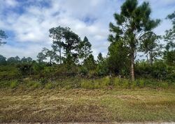 Pre-foreclosure Listing in Glenquist Ave S LEHIGH ACRES, FL 33974