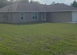 Pre-foreclosure in  Malauka Pass Ocklawaha, FL 32179