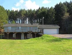  E 16 1/2 Rd, Manton MI