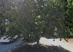 Pre-foreclosure in  Fenwick St Sunland, CA 91040