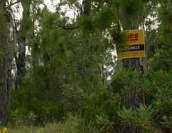  Ne 120th St, Bronson FL