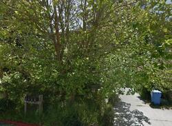 Pre-foreclosure in  Cypress Park Santa Cruz, CA 95060