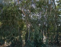 Pre-foreclosure in  S Frankwood Ave Sanger, CA 93657