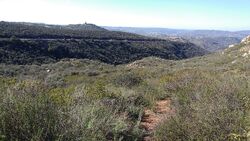  Eucalyptus Heights , Poway CA