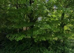 Pre-foreclosure in  S Section Line Rd Delaware, OH 43015