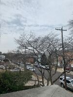 Pre-foreclosure in  200TH ST Bayside, NY 11360