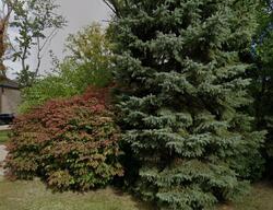 Pre-foreclosure Listing in Vermont Dr TROY, MI 48083
