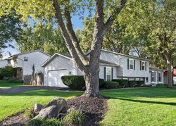 Pre-foreclosure in  Killdeer Dr Naperville, IL 60565