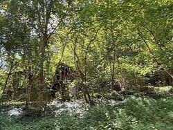 Pre-foreclosure in  Johnson Cemetery Rd Blountville, TN 37617