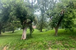 Pre-foreclosure in  N Elms Rd Flint, MI 48532