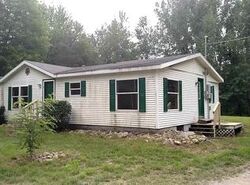 Pre-foreclosure in  W BRADFORD RD Shepherd, MI 48883