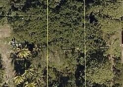 Pre-foreclosure in  Burning Bark Dr Fort Myers, FL 33919