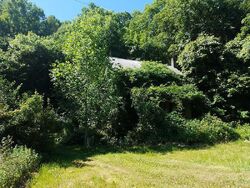 Pre-foreclosure in  STATE RD Bloomsburg, PA 17815