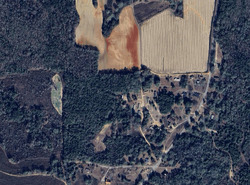 Pre-foreclosure in  County Road 225 Abbeville, AL 36310