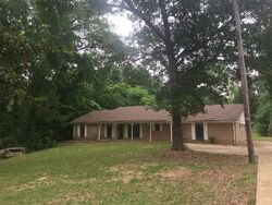 Pre-foreclosure in  COUNTY ROAD 1145 Tyler, TX 75704