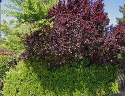 Pre-foreclosure in  W I St Benicia, CA 94510