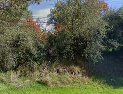 Pre-foreclosure in  Penryn Rd Penryn, CA 95663