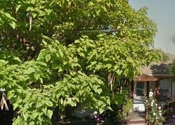 Pre-foreclosure in  Waltham Rd Concord, CA 94520