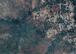  Wilburs Way, Mariposa CA