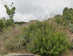 Pre-foreclosure in  Cuthbert Rd Malibu, CA 90265