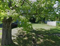 Pre-foreclosure in  Lora Ave Youngstown, OH 44504