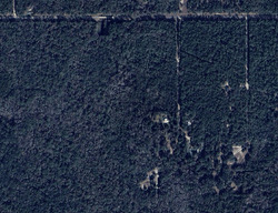 Pre-foreclosure in  SE 161st Ter Hawthorne, FL 32640