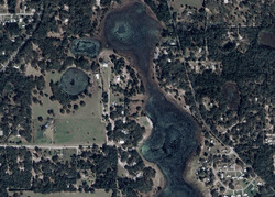 Pre-foreclosure in  SE 90th St Ocklawaha, FL 32179