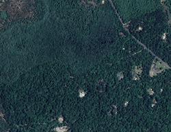  Evelyn Rd, Crawfordville FL