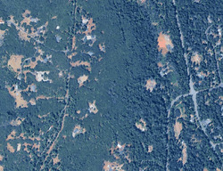 Pre-foreclosure in  Quail Creek Ct Magalia, CA 95954