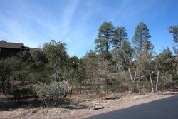 Pre-foreclosure in  E Scarlet Bugler Cir Payson, AZ 85541