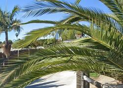 Pre-foreclosure in  HIGHLAND DR Vista, CA 92083