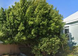 Pre-foreclosure in  W AVENUE 43 Los Angeles, CA 90041