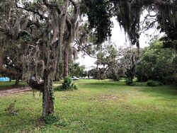 Pre-foreclosure in  OLD DIXIE HWY Grant, FL 32949