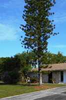  David Blvd, Port Charlotte FL