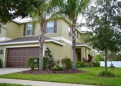  Fiddleleaf Ct, Tampa FL