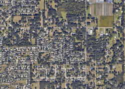 Pre-foreclosure in  Abbey Trace Dr Dover, FL 33527