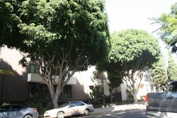 Pre-foreclosure in  N KINGS RD West Hollywood, CA 90069