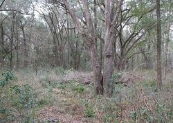 Pre-foreclosure in  NW 20th Ave Newberry, FL 32669