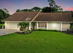 Pre-foreclosure in  Bear Cub Ct Fort Myers, FL 33908