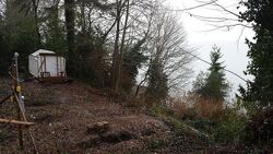 Pre-foreclosure in  Vashon Hwy SW Vashon, WA 98070