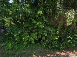 Pre-foreclosure in  Darrington St Darrington, WA 98241