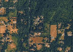 Pre-foreclosure in  314th St S Roy, WA 98580