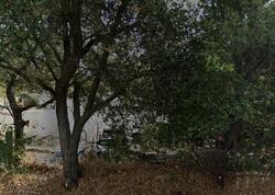  Kirkland Ave, Napa CA