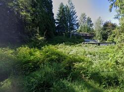 Pre-foreclosure in  Wallitner Rd Arlington, WA 98223